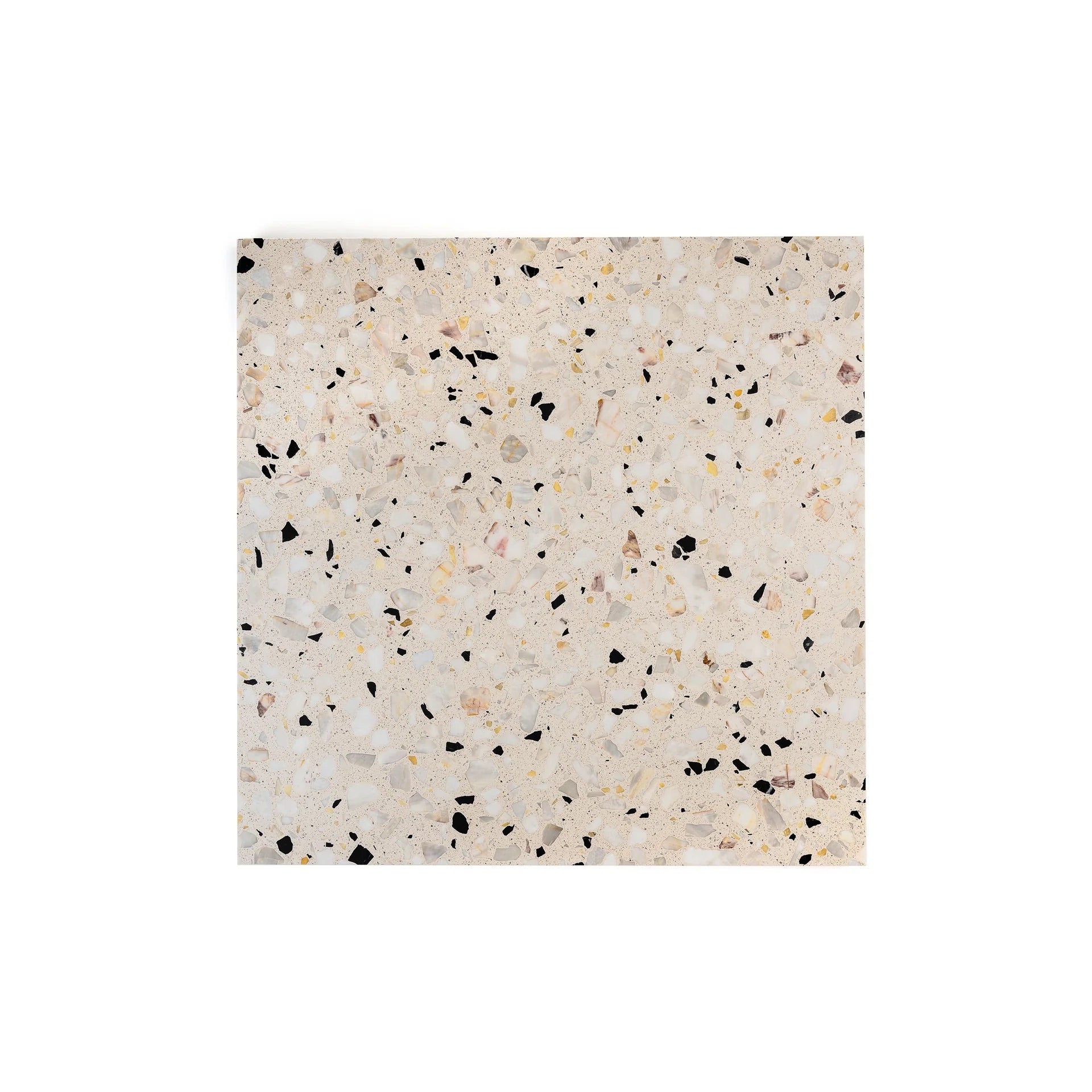 appaloosa_terrazzo_12_X_12_Matte