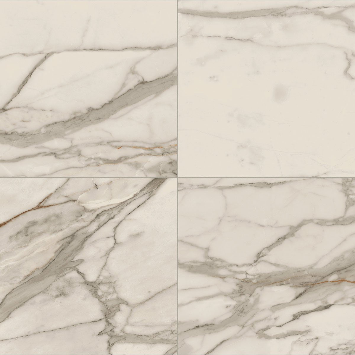 delight_Calacatta_Gold_12_X_24_Matte