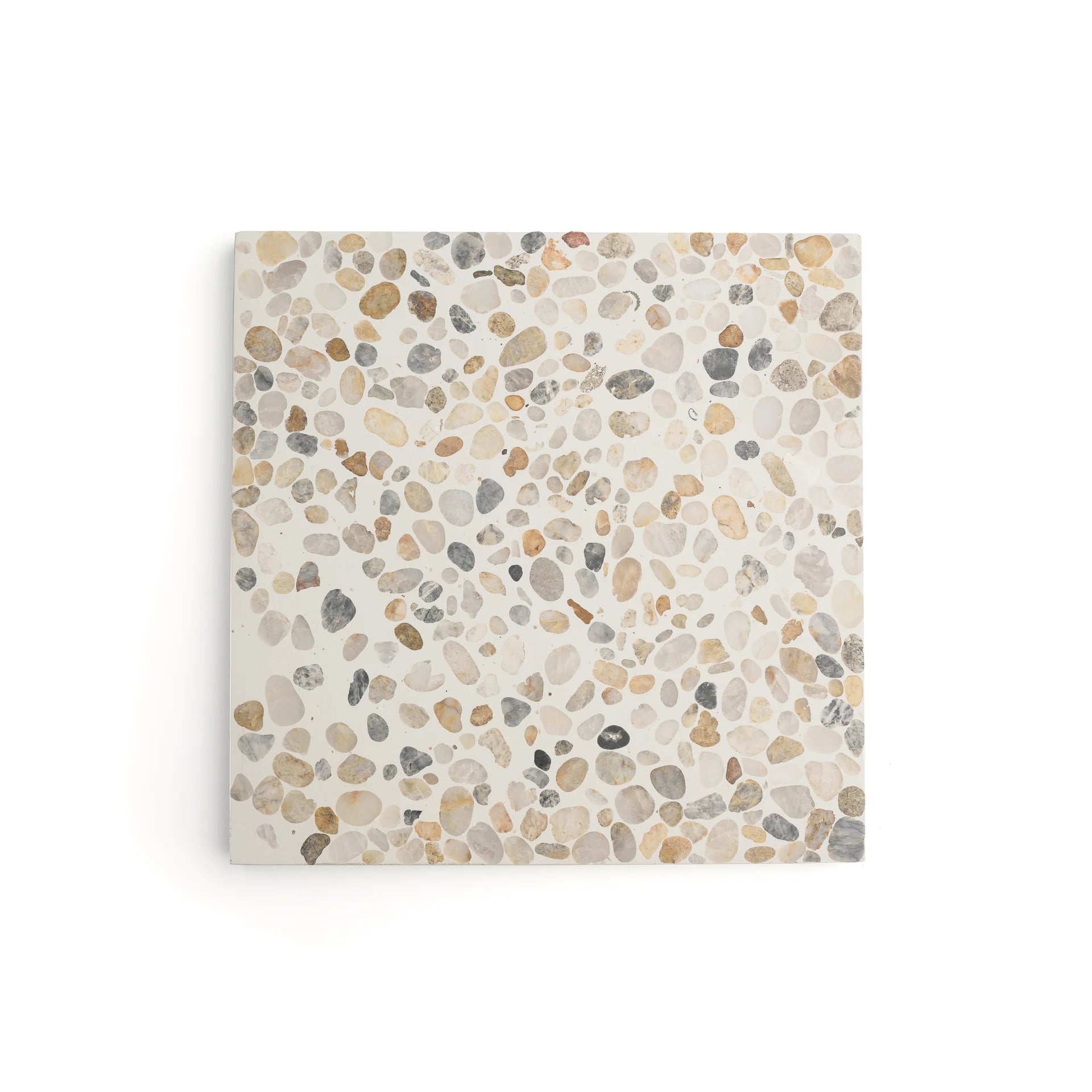 gaia_terrazzo_12_X_12_Matte