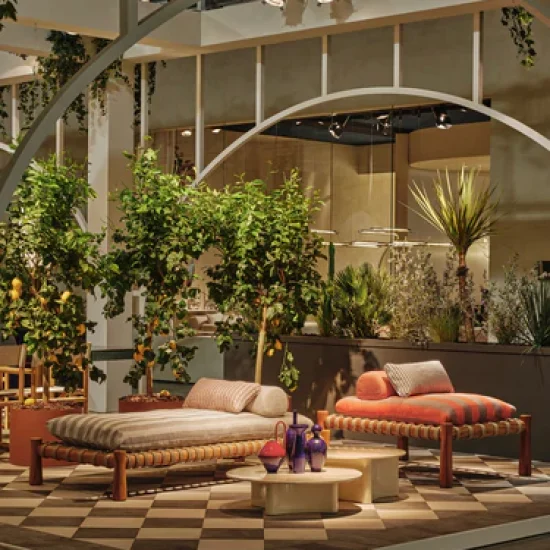 n_s_c_slider_1_2